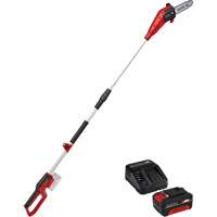 Scie &agrave; chaîne &agrave; perche sans fil avec batterie 4 Ah et ensemble de d&eacute;part de chargeur R.M.G. Prévention