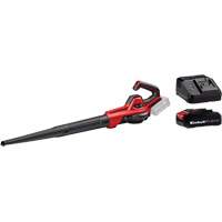 Souffleuse universelle 110 pi3/min sans fil avec batterie 2,5 Ah et ensemble de d&eacute;part de chargeur, 18 V, Vitesse d'air 155,34 mi/h, &agrave; pile R.M.G. Prévention