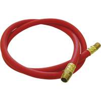 Hose Reel Connecting Hose, Air, EPDM Rubber, 1/2" dia. x 5', 300 psi, 1/2 NPT R.M.G. Prévention