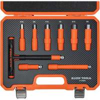 Insulated T-Handle & Hex Bit Set with Case, 1000 V, 9 Pcs R.M.G. Prévention