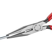 Long Nose Pliers with Cutter, 6-1/4" L R.M.G. Prévention