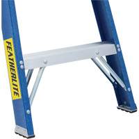 Industrial Duty Stepladders (6300 Series), 4', Fibreglass, 250 lbs. Capacity, Type 1 R.M.G. Prévention