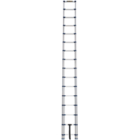 Telescopic Ladder, 3' - 15.5', Aluminum, 250 lbs. Capacity, Type 1 R.M.G. Prévention