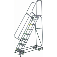 All Directional Ladders, 6 Steps, 24" Step Width, 60" Platform Height, Steel R.M.G. Prévention
