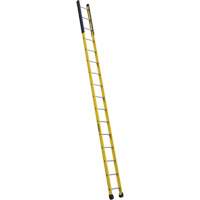 Single Manhole Ladder, 16', Fibreglass, 375 lbs., CSA Grade 1AA R.M.G. Prévention