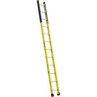 Single Manhole Ladder, 12', Fibreglass, 375 lbs., CSA Grade 1AA R.M.G. Prévention
