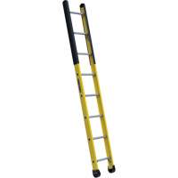 Single Manhole Ladder, 8', Fibreglass, 375 lbs., CSA Grade 1AA R.M.G. Prévention