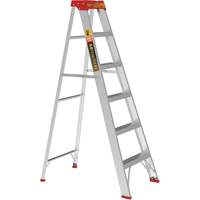 Step Ladder, 6', Aluminum, 200 lbs. Capacity, Type 3 R.M.G. Prévention