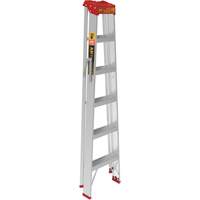 Step Ladder, 6', Aluminum, 200 lbs. Capacity, Type 3 R.M.G. Prévention