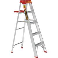 Step Ladder with Paint Tray, 5', Aluminum, 200 lbs. Capacity, Type 3 R.M.G. Prévention