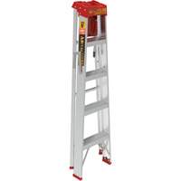 Step Ladder with Paint Tray, 5', Aluminum, 200 lbs. Capacity, Type 3 R.M.G. Prévention
