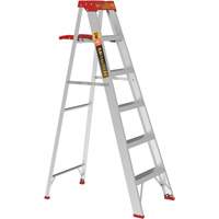 Step Ladder with Paint Tray, 6', Aluminum, 200 lbs. Capacity, Type 3 R.M.G. Prévention
