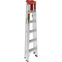 Step Ladder with Paint Tray, 6', Aluminum, 200 lbs. Capacity, Type 3 R.M.G. Prévention