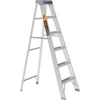 Step Ladder, 6', Aluminum, 225 lbs. Capacity, Type 2 R.M.G. Prévention
