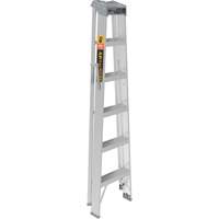 Step Ladder, 6', Aluminum, 225 lbs. Capacity, Type 2 R.M.G. Prévention