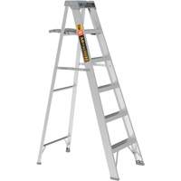 Step Ladder with Paint Tray, 6', Aluminum, 225 lbs. Capacity, Type 2 R.M.G. Prévention