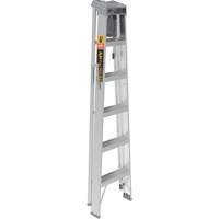 Step Ladder with Paint Tray, 6', Aluminum, 225 lbs. Capacity, Type 2 R.M.G. Prévention