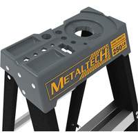 Escabeau avec plateau &agrave; peinture, 10', Fibre de verre, Capacit&eacute; 250 lb, Type 1 R.M.G. Prévention