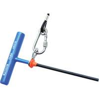 Hex Key - Metric, Hex End, 2.5 mm x 6" L, T Handle R.M.G. Prévention