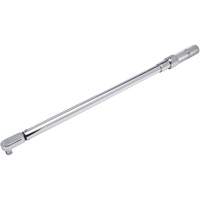 Fixed Head Micrometer Torque Wrench, Click, 1/2" Square Drive, 50-250 ft-lbs. R.M.G. Prévention