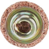 Standard Abrasives Quick-Change Surface Conditioning Disc, 3/4" Dia., Coarse Grit, Aluminum Oxide R.M.G. Prévention
