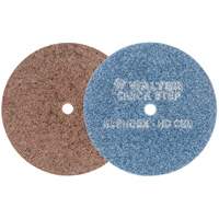 QUICK-STEP BLENDEX Surface Conditioning Disc, 5" Dia., Extra Coarse Grit, Aluminum Oxide R.M.G. Prévention