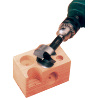 Super Forstner Bits, 1/4", 5/16" Shank, 3-1/2" Length R.M.G. Prévention
