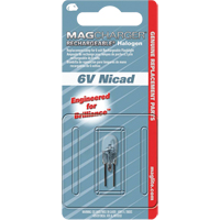 Ampoule de rechange pour lampe de poche rechargeable R.M.G. Prévention