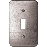 Toggle Switch Wall Plate R.M.G. Prévention