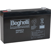 Sealed Lead Acid Batteries, 6 V, 7.2 Ah R.M.G. Prévention