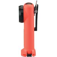 Lampe de poche Survivor, DEL, 175 lumens, Piles Rechargeable R.M.G. Prévention