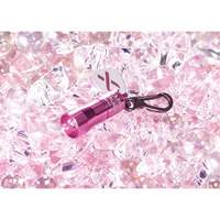 Lampes de poche Nano Light R.M.G. Prévention