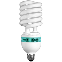 Ampoules pour lampe de travail Hang-A-Light, 105 W R.M.G. Prévention