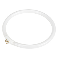 Ampoule fluorescente de rechange pour lampes-loupes Rhinomag, 22 W R.M.G. Prévention