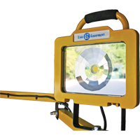 Heavy-Duty Dock Light, 40" Arm, 38 W, LED Lamp, Metal R.M.G. Prévention