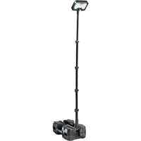 Syst&egrave;mes d'&eacute;clairage &agrave; distance 9490, DEL, 53,3 W, 6000 lumens, Boîtier en Plastique R.M.G. Prévention