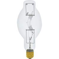 High Intensity Discharge Lamps (HID) - Metal Halide R.M.G. Prévention