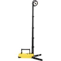 Portable Rechargeable Scene Lights, LED, 36 W, 5300 Lumens, Plastic Housing R.M.G. Prévention