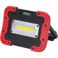 Portable Work Light, LED, 10 W, 1000 Lumens, Plastic Housing R.M.G. Prévention