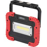 Portable Work Light, LED, 10 W, 1000 Lumens, Plastic Housing R.M.G. Prévention