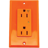 Surge Protective Isolated Decora&reg; Outlet R.M.G. Prévention