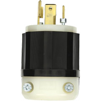 Fiche verrouillable de calibre industriel, Nylon, 30 A, 347 V/600 V, L20-30P R.M.G. Prévention