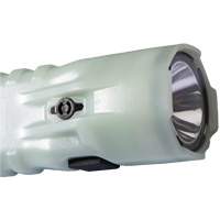 Lampe de poche, DEL, 378 lumens, Piles AA R.M.G. Prévention