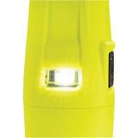 Lampe de poche VLO, DEL, 280 lumens, Piles AA R.M.G. Prévention