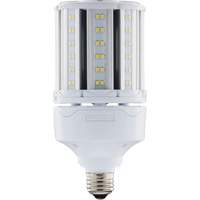 Ampoule HID de remplacement sélectionnable ULTRA LED<sup>MC</sup>, E26, 18 W, 2700 lumens XJ275 | R.M.G. Prévention