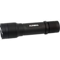 Lampe de poche IP67, DEL, 2000 lumens, Piles Rechargeable R.M.G. Prévention