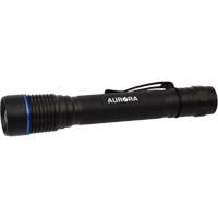 Lampe de poche IPX7, DEL, 250 lumens, Piles AA R.M.G. Prévention